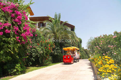 Letoonia Club Hotel 4